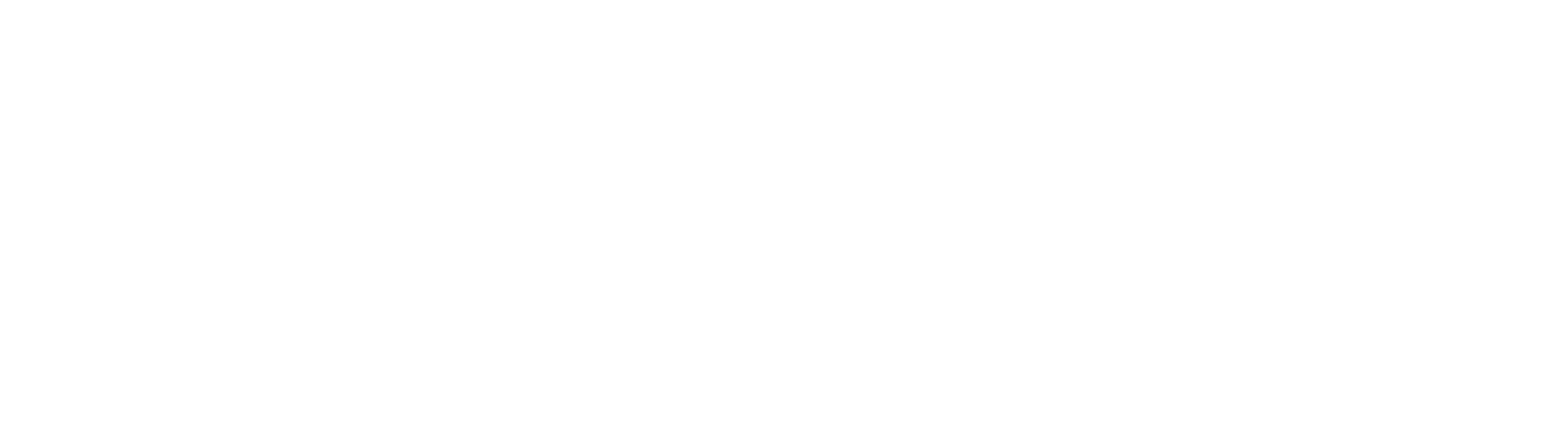 Pedraza Solutions